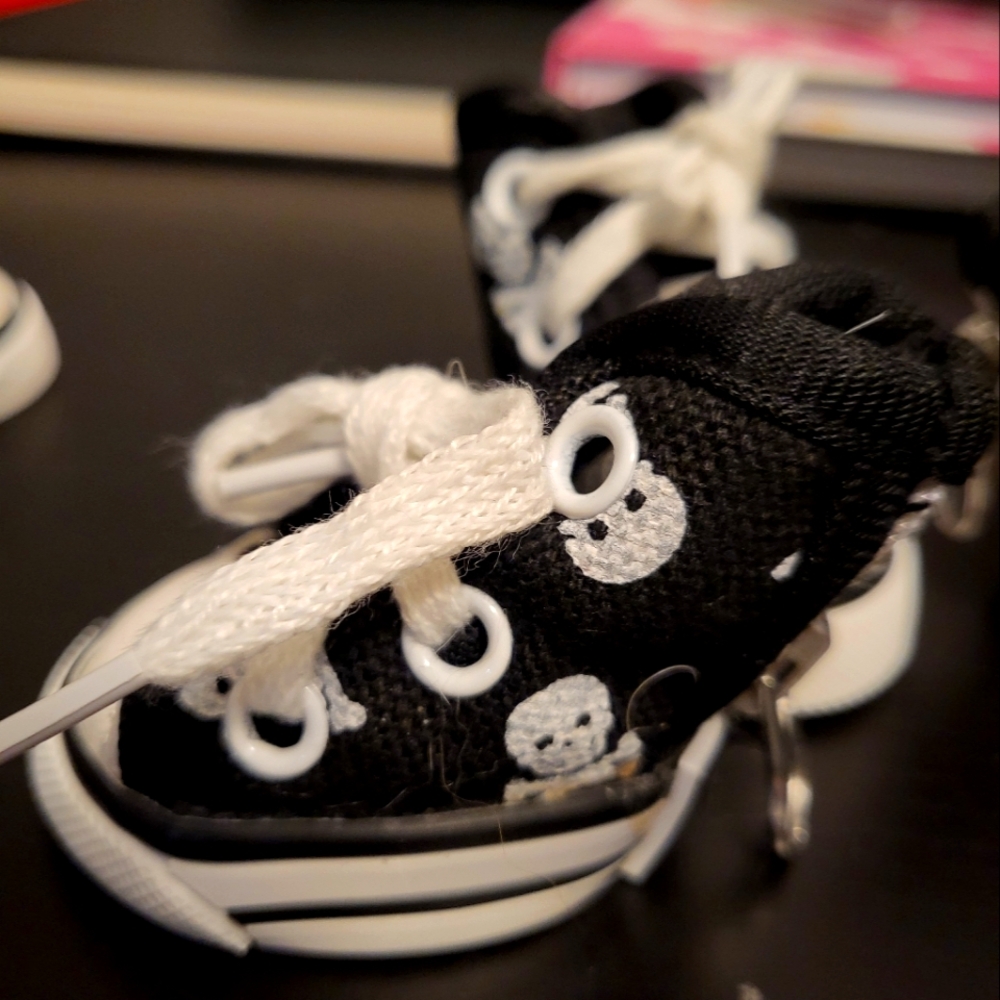Shoe Pet